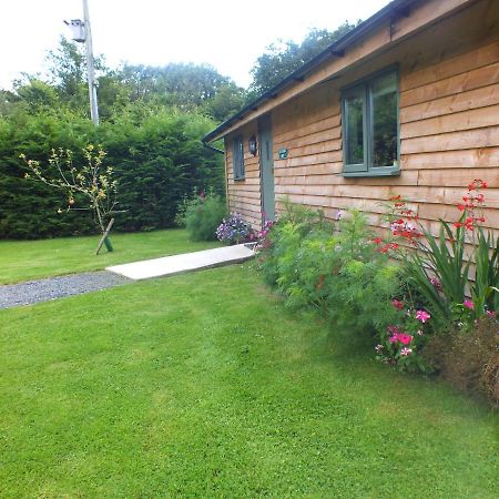 The Potting Shed And The Garden Shed Self Catering Villa Carmarthen Kültér fotó