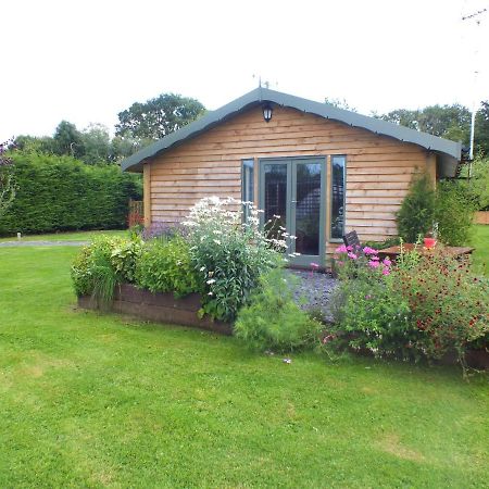 The Potting Shed And The Garden Shed Self Catering Villa Carmarthen Kültér fotó