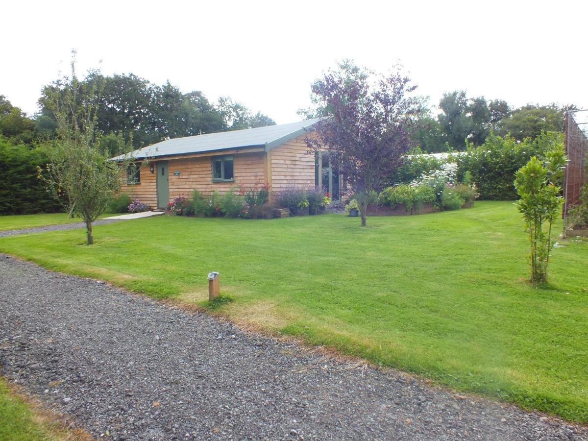 The Potting Shed And The Garden Shed Self Catering Villa Carmarthen Kültér fotó