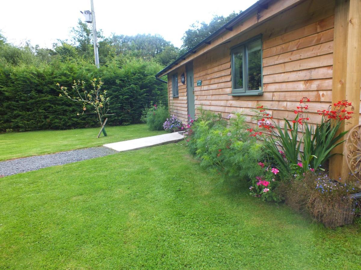 The Potting Shed And The Garden Shed Self Catering Villa Carmarthen Kültér fotó