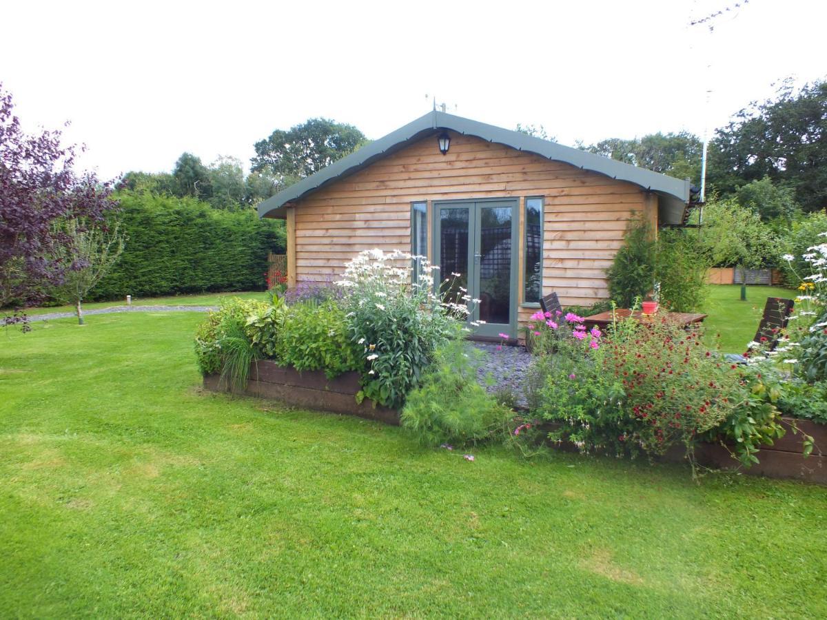 The Potting Shed And The Garden Shed Self Catering Villa Carmarthen Kültér fotó