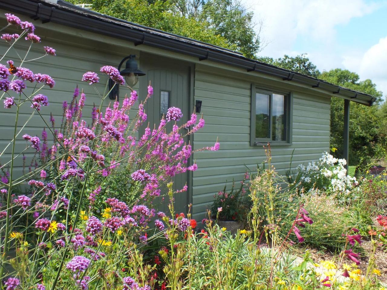 The Potting Shed And The Garden Shed Self Catering Villa Carmarthen Kültér fotó