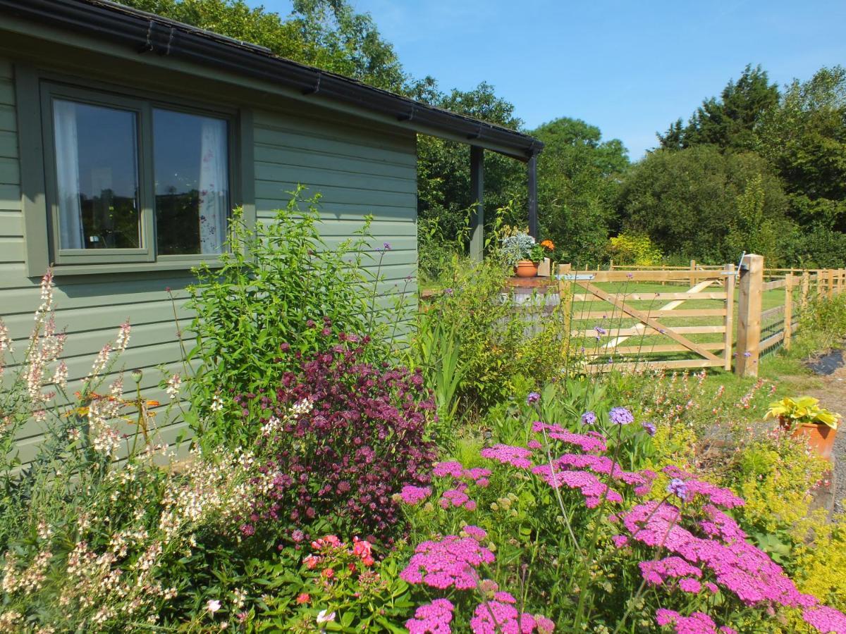 The Potting Shed And The Garden Shed Self Catering Villa Carmarthen Kültér fotó